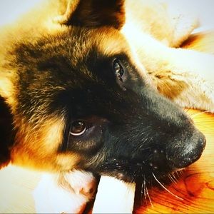 Meet your Posher, Mariah